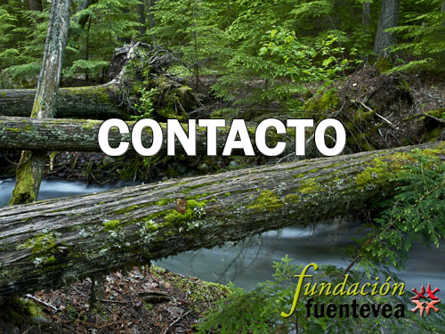 Contacto Fuentevea